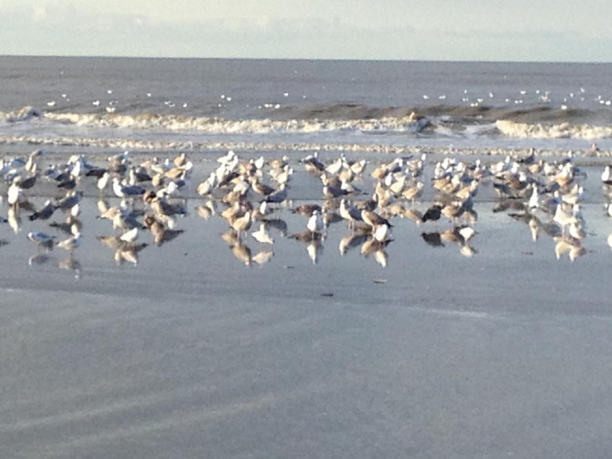 Strand En Meer Katwijk aan Zee Zewnętrze zdjęcie